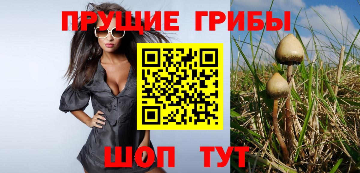 Псилоцибиновые грибы прущие грибы  Вход с VPN  Заинск  Галлюциногенные грибы прущие грибы 